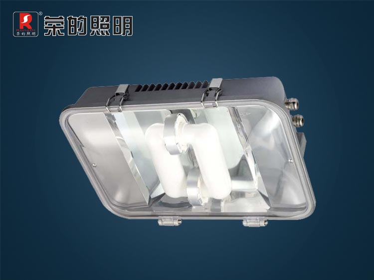 节能长寿顶灯,ZR8700,无极灯节能顶灯,节能型长寿顶灯制造厂家