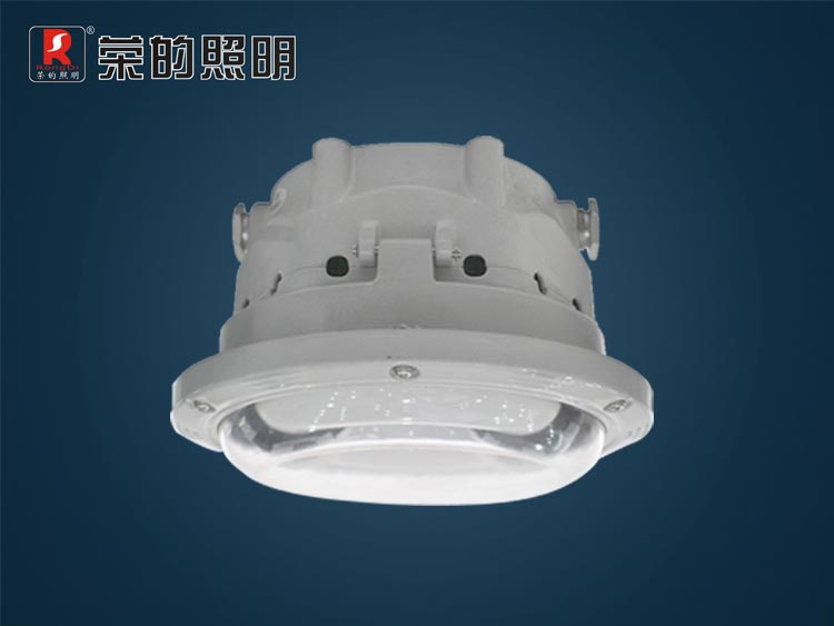 ZR8960,长寿顶灯,节能型长寿顶灯